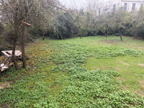 Strada Naviglio Alto - Parma