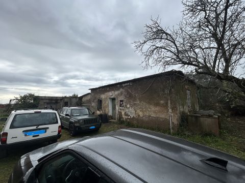 Via del Tronco - Aprilia