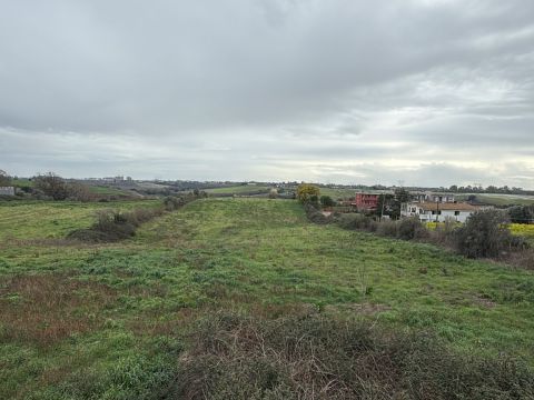 Via del Tronco - Aprilia