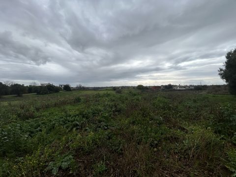 Via del Tronco - Aprilia