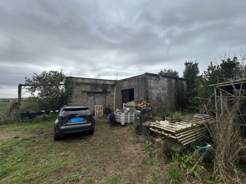 Via del Tronco - Aprilia