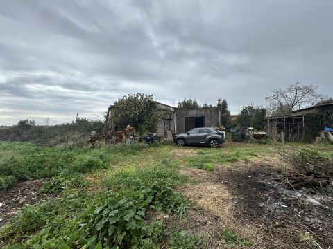 Via del Tronco - Aprilia