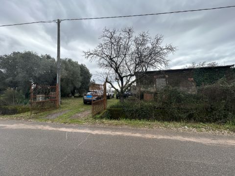 Via del Tronco - Aprilia