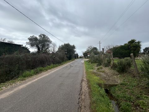 Via del Tronco - Aprilia