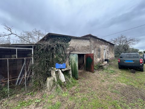 Via del Tronco - Aprilia