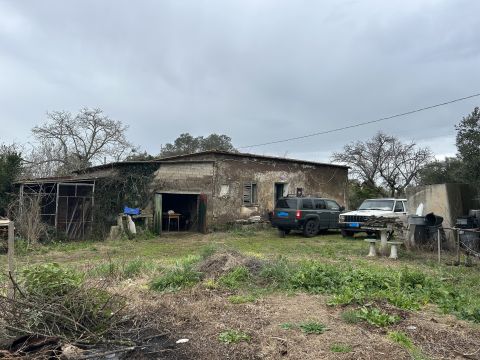 Via del Tronco - Aprilia