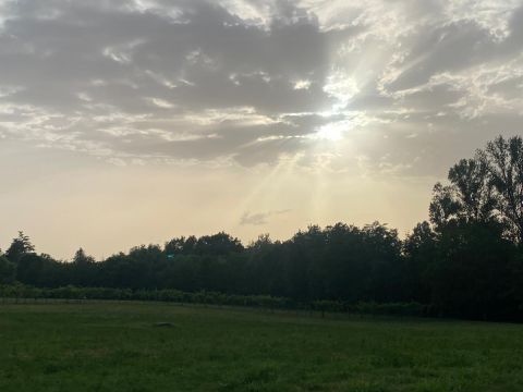 Via Zappati - Sala Baganza