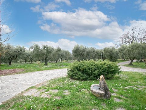 Via Valle del Muraglione - Canale Monterano