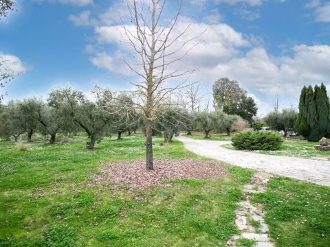 Via Valle del Muraglione - Canale Monterano