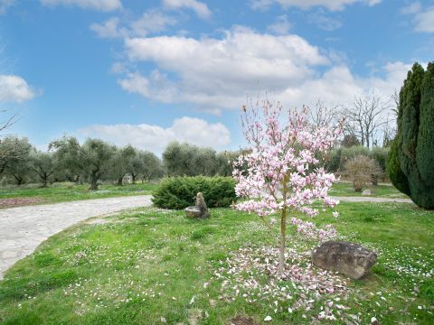 Via Valle del Muraglione - Canale Monterano