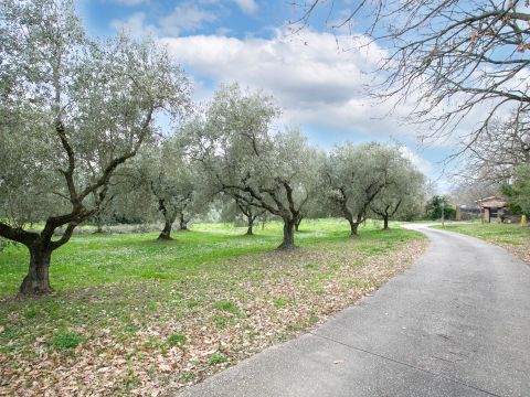 Via Valle del Muraglione - Canale Monterano