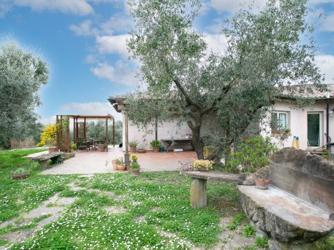 Via Valle del Muraglione - Canale Monterano