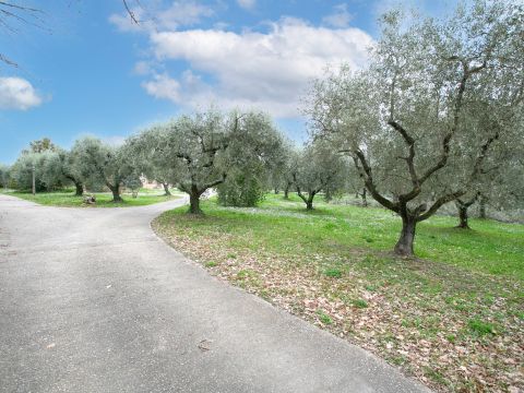 Via Valle del Muraglione - Canale Monterano