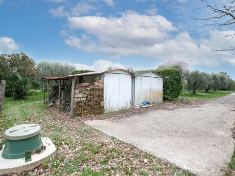 Via Valle del Muraglione - Canale Monterano