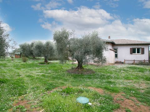 Via Valle del Muraglione - Canale Monterano