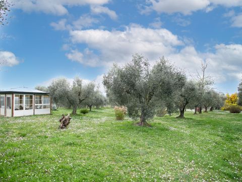 Via Valle del Muraglione - Canale Monterano