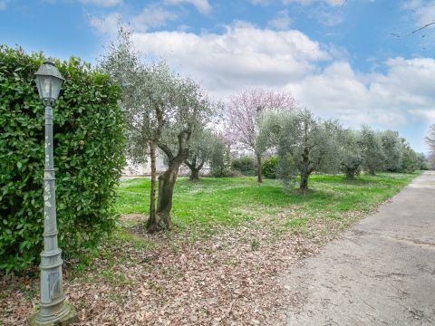 Via Valle del Muraglione - Canale Monterano