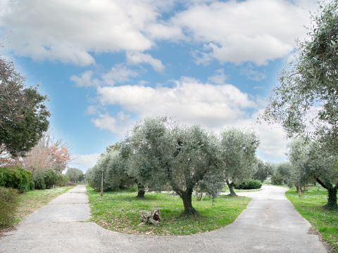 Via Valle del Muraglione - Canale Monterano
