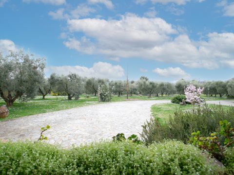 Via Valle del Muraglione - Canale Monterano