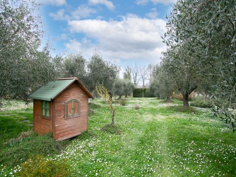 Via Valle del Muraglione - Canale Monterano