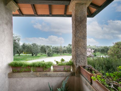 Via Valle del Muraglione - Canale Monterano