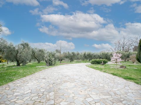 Via Valle del Muraglione - Canale Monterano