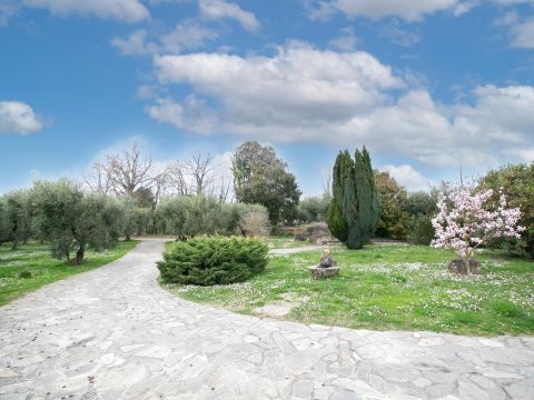 Via Valle del Muraglione - Canale Monterano