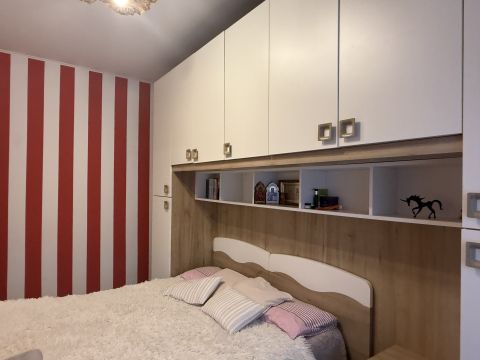 Viale Ildebrando Cocconi - Parma