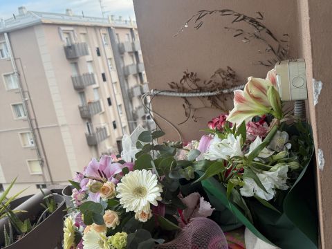 Viale Ildebrando Cocconi - Parma