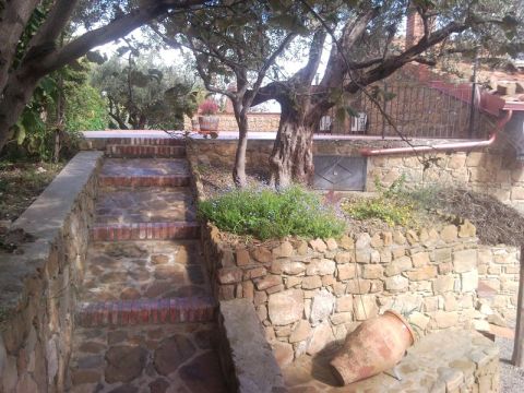 Contrada Pantano - Reitano