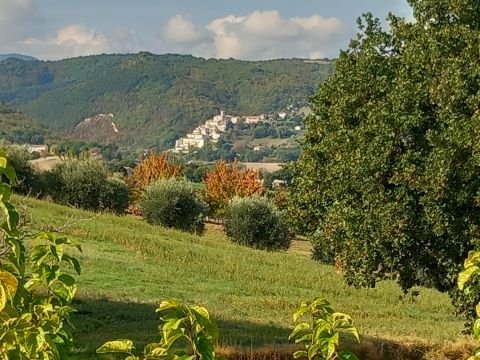 Frazione Sant'Apollinare, 118 - Arcevia