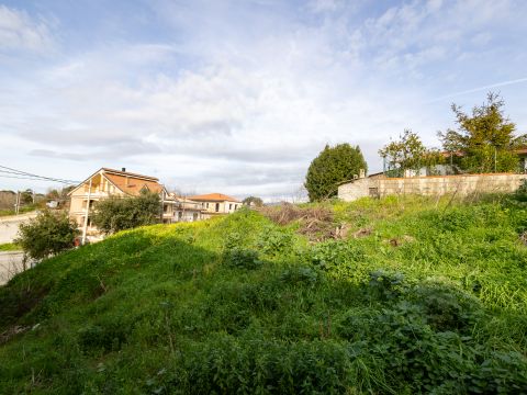 Viale Antonio Gramsci - Caraffa Di Catanzaro