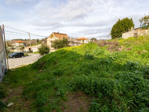 Viale Antonio Gramsci - Caraffa Di Catanzaro