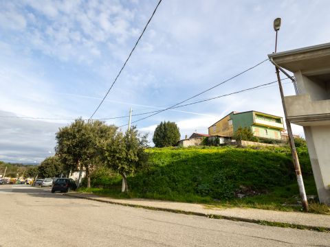 Viale Antonio Gramsci - Caraffa Di Catanzaro