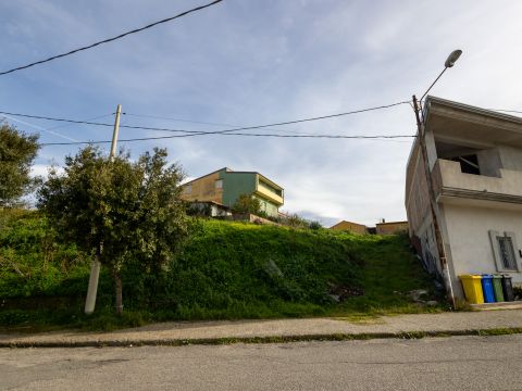 Viale Antonio Gramsci - Caraffa Di Catanzaro
