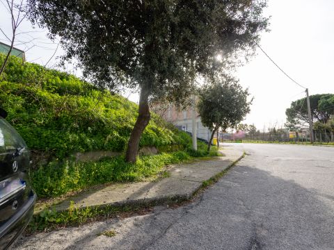 Viale Antonio Gramsci - Caraffa Di Catanzaro