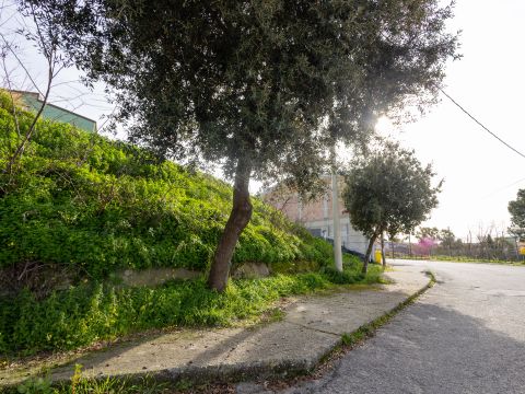 Viale Antonio Gramsci - Caraffa Di Catanzaro