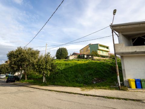 Viale Antonio Gramsci - Caraffa Di Catanzaro