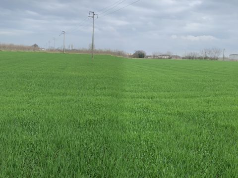 Via Grazia Deledda - Canneto Sull'oglio