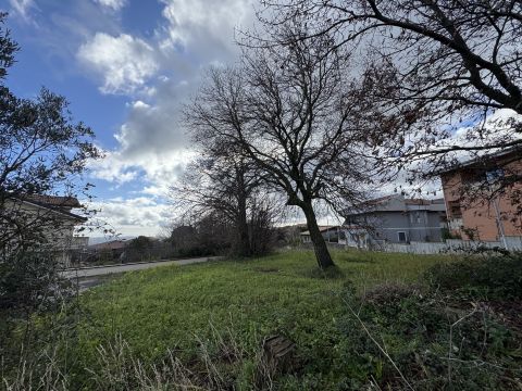 Via Antonio Segni - Girifalco