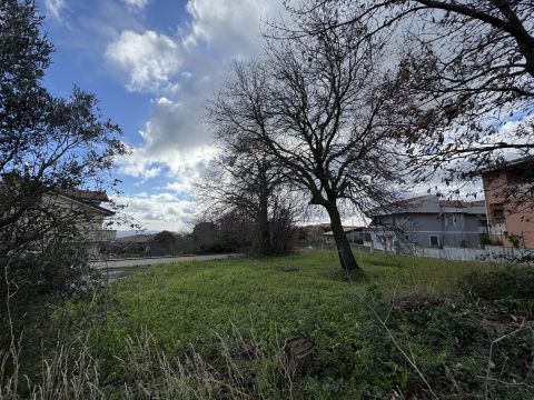 Via Antonio Segni - Girifalco