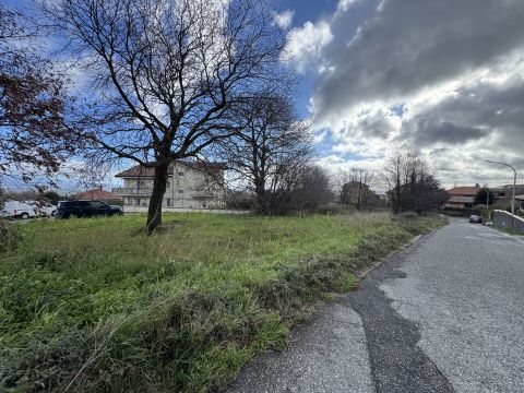 Via Antonio Segni - Girifalco