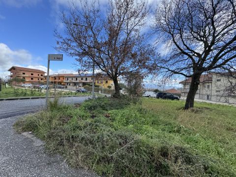 Via Antonio Segni - Girifalco