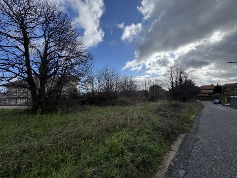 Via Antonio Segni - Girifalco