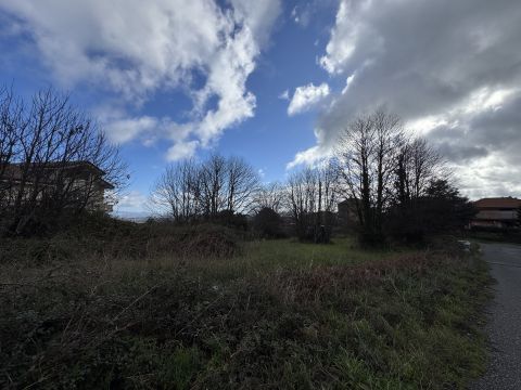 Via Antonio Segni - Girifalco