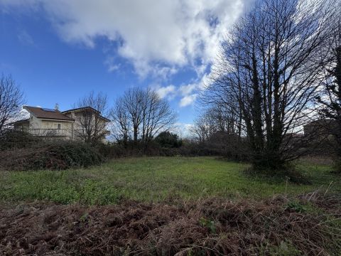 Via Antonio Segni - Girifalco