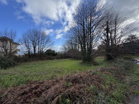 Via Antonio Segni - Girifalco