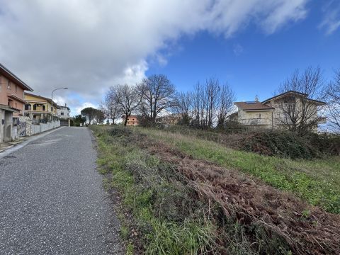 Via Antonio Segni - Girifalco