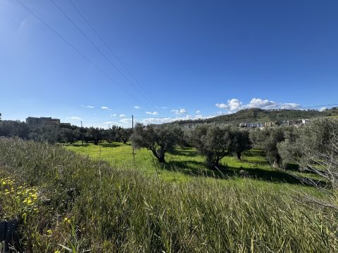 Viale Magna Grecia - Catanzaro