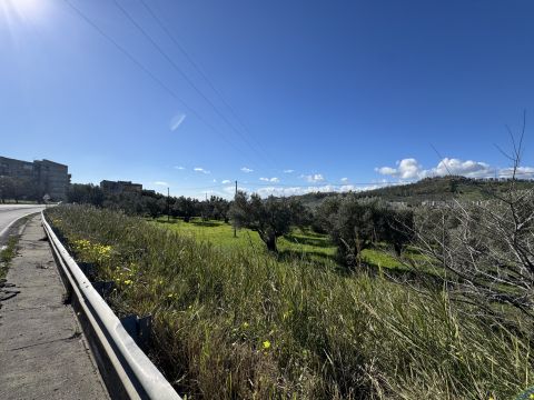 Viale Magna Grecia - Catanzaro